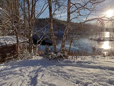 Talvinen järvimaisema