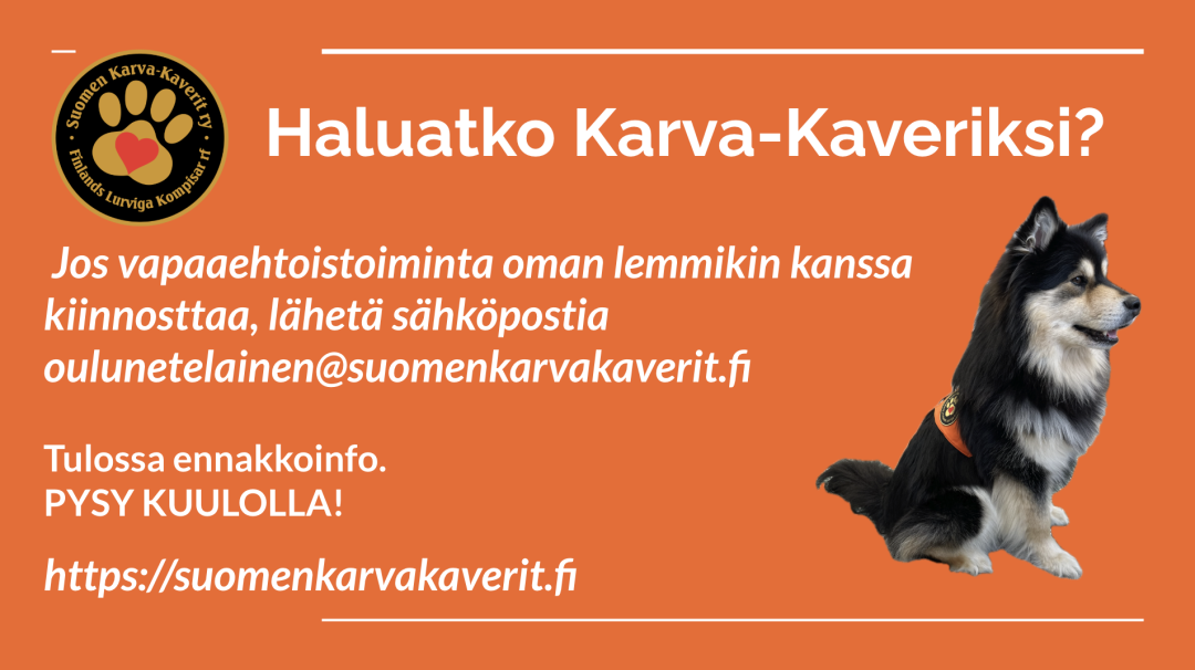 nayttokuva-2025-04-10-kello-11.37.41.png