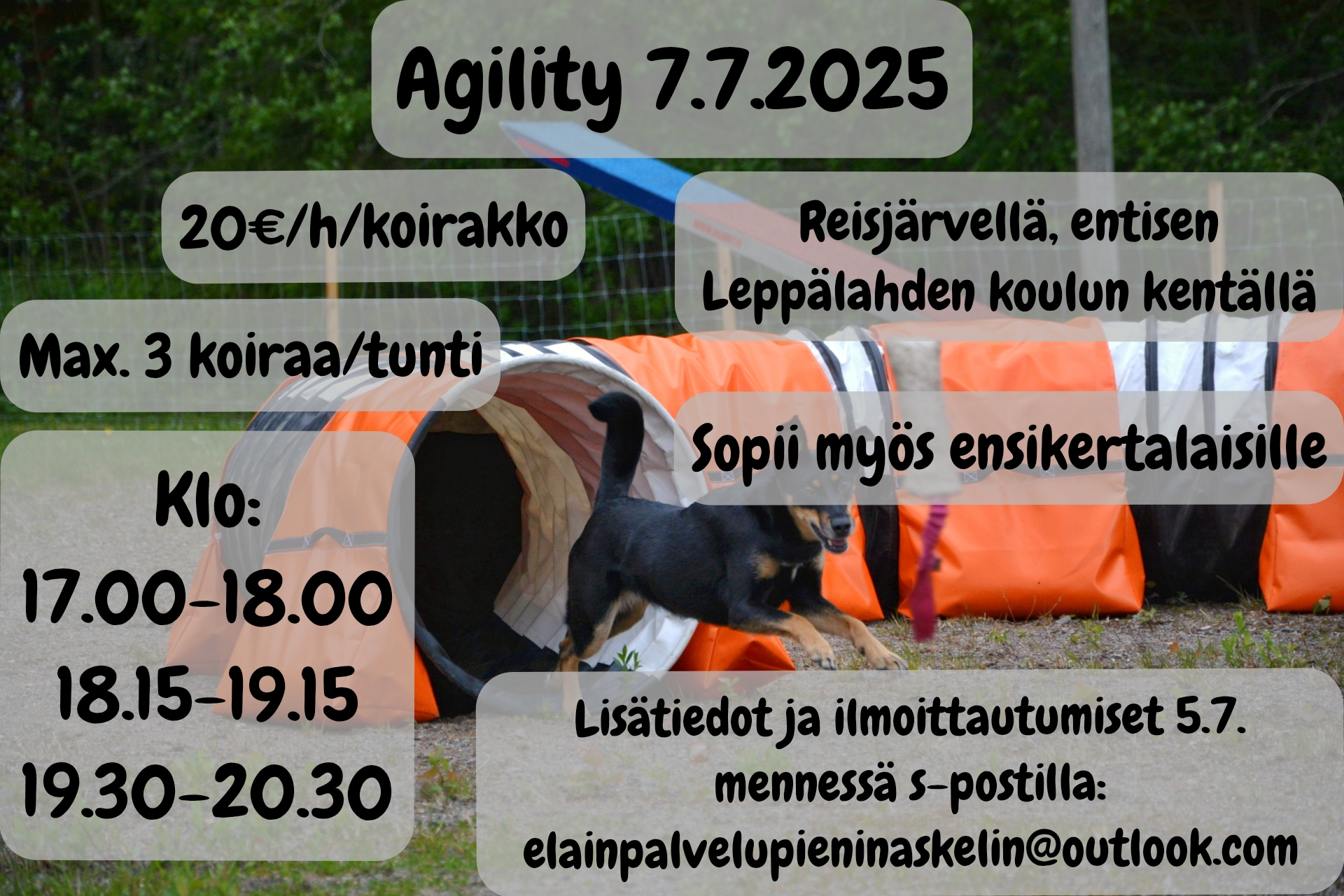funpic_20250623_124528671.jpg