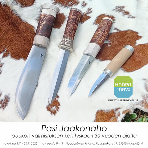 pasi-nayttely-some-kopio.jpg