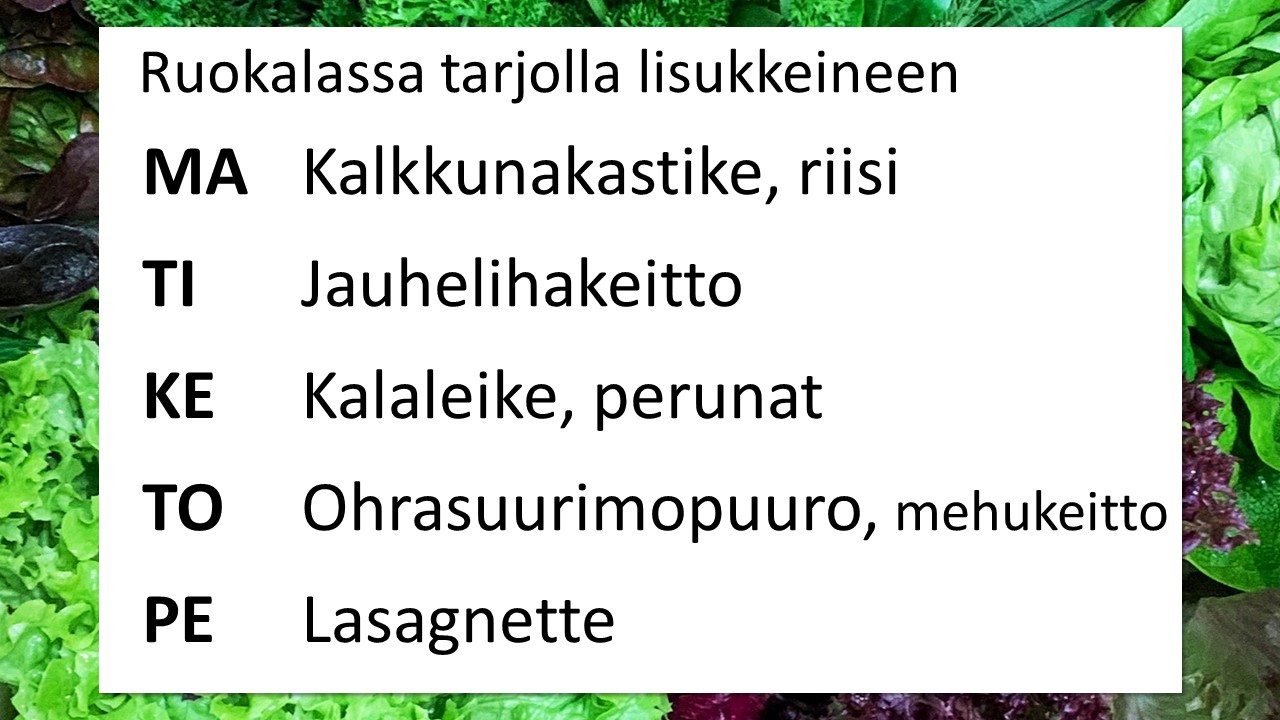 ruokalista-kalkkunakastike-kalaleike.jpg