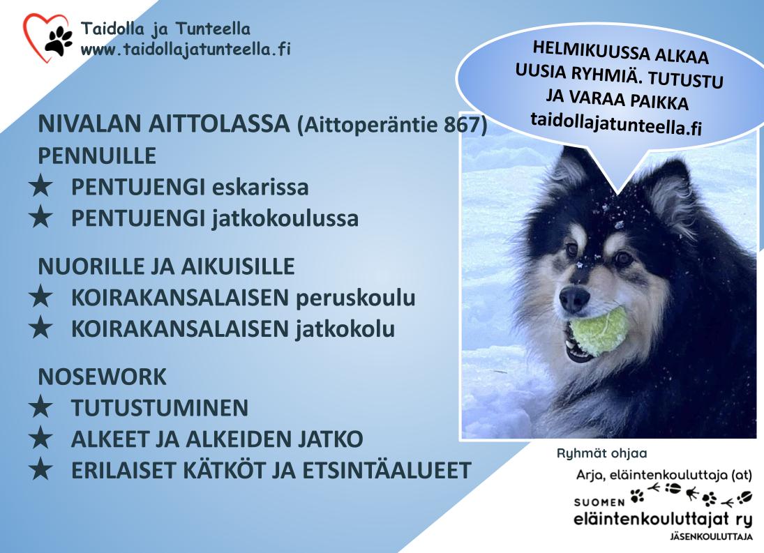 helmikuu_2026.jpg